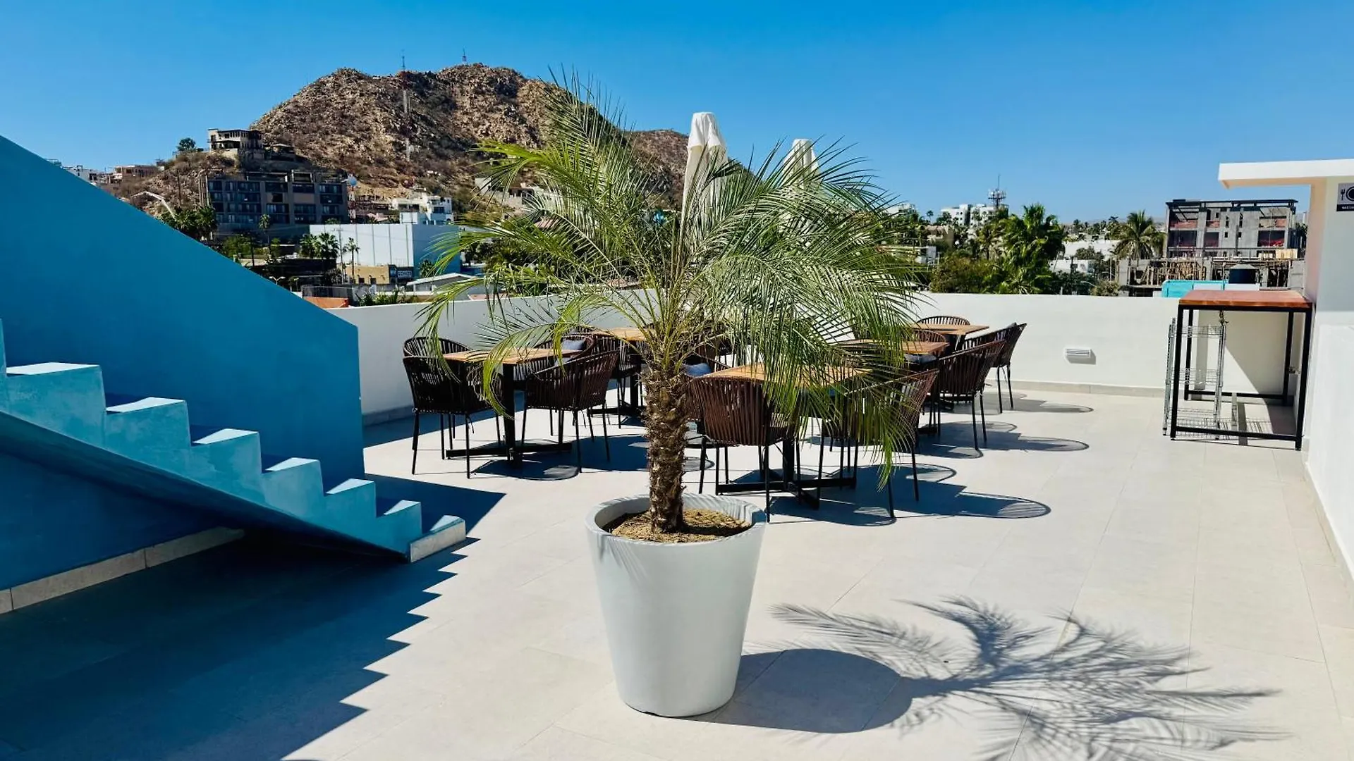 Hotel Colmena Marina Cabos Cabo San Lucas