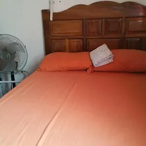 Luna Vallarta Pensión Puerto Vallarta