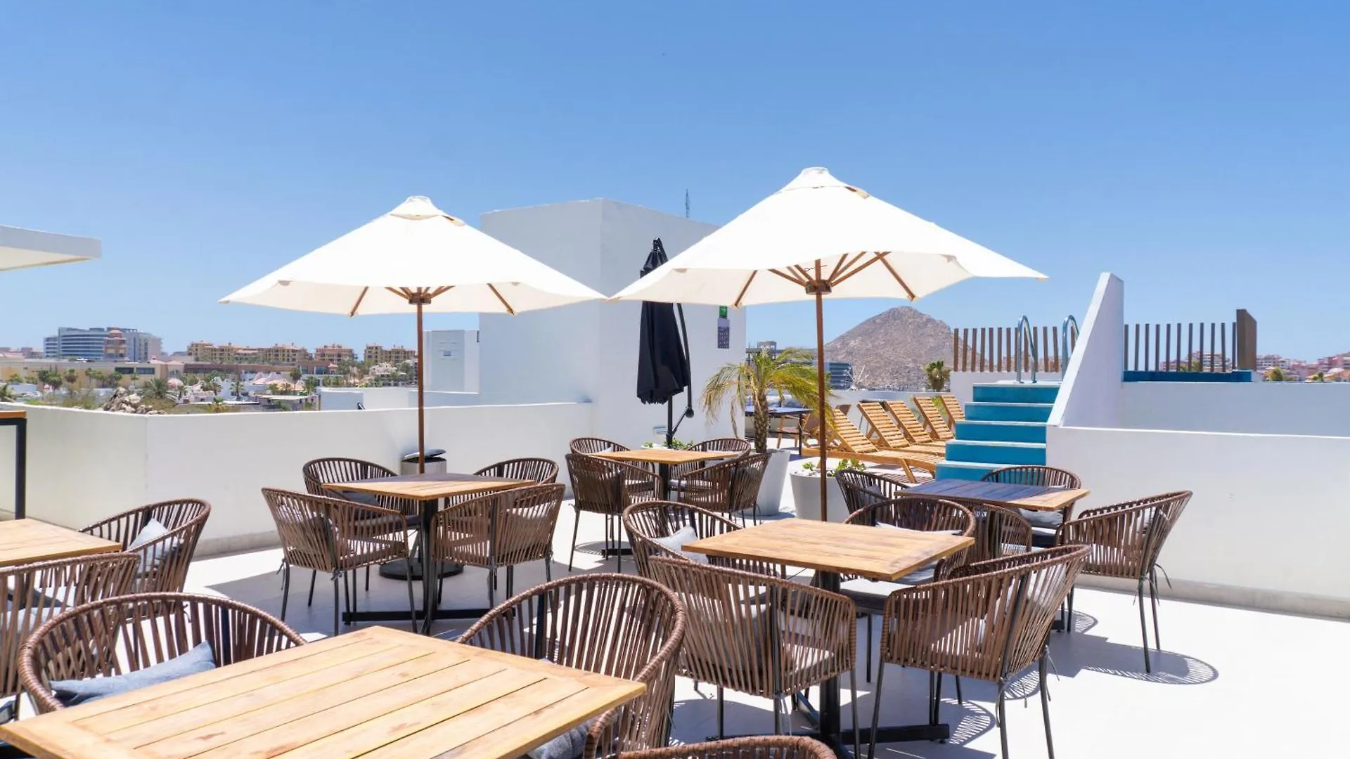 Colmena Marina Cabos Hotel Cabo San Lucas